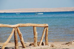вид на red sea