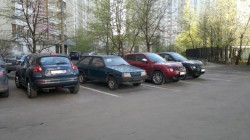 2012-05-03-014 ум.jpg