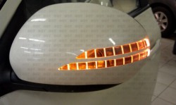8981.jpg