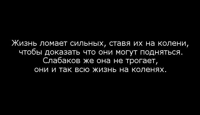 y_8b3369be.jpg