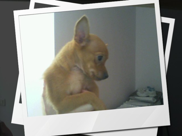 Snapshot_20120803_1.jpg