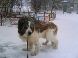 последняя зима..  февраль 2010