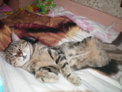 100_0199.JPG