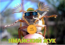 6395469_ecc0883f.jpg