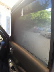 20130603_195231 (480x640).jpg