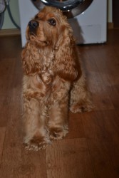 DSC_0008.JPG