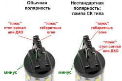 normal_vs_ck-600x400.jpg