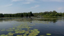 Рыбалка 1.jpg