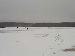 Федоровский 1.jpg